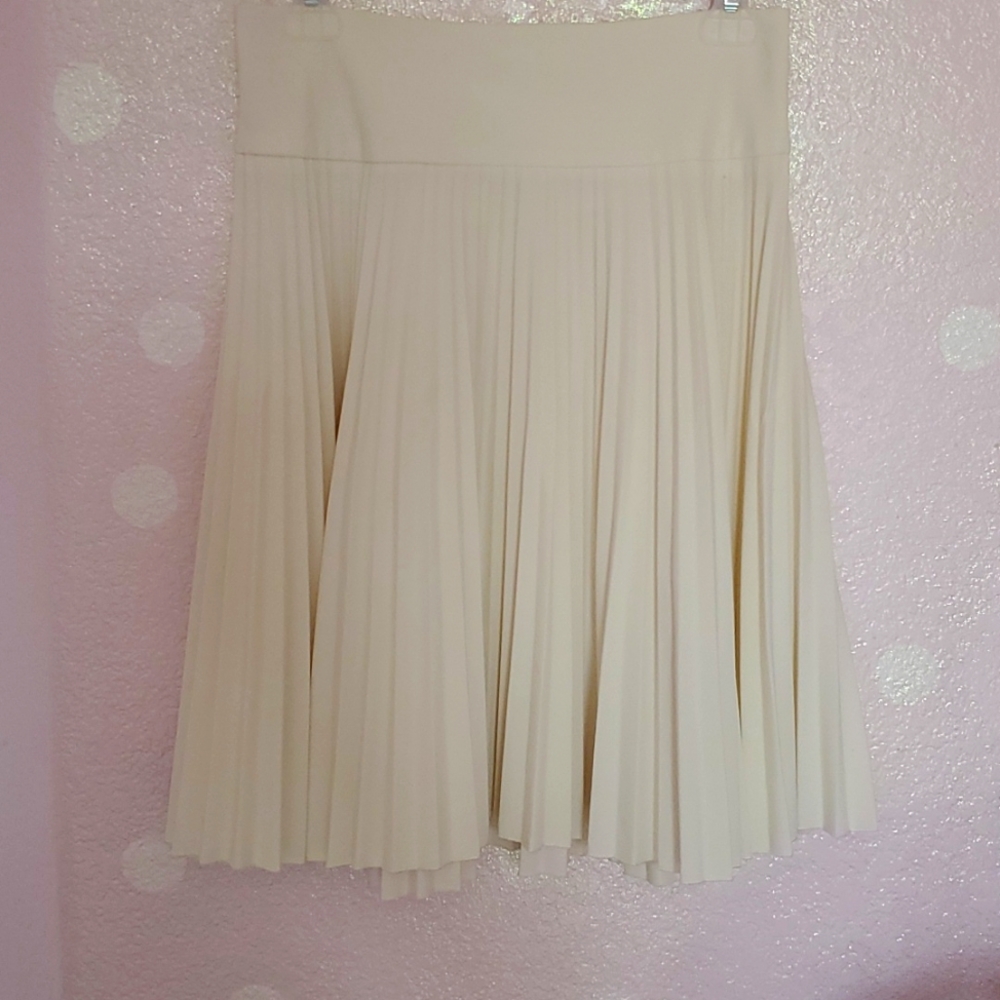 Have Pleated Skirt